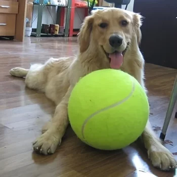 1 buc Interactive Jucărie Câine - 24cm/9.5 în Companie Minge de Tenis Aruncător de Formare Și De Redare