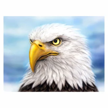 DIY-5D Diamant Pictura Vultur Ochi Ascuțit Animale de Îmbinare Set Complet de Diamant Broderie Mozaic Imagine Închis Decor Acasă Cadou
