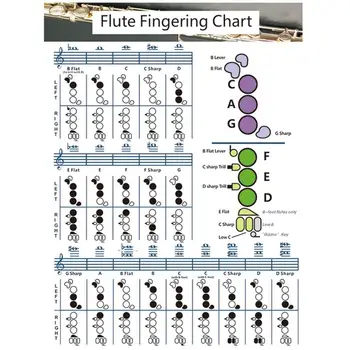Flaut Diagramă Coardă De Învățământ Coardă Poster Plasarea Degetul De Referință Poster Diagrama De Muzică Arta De Perete Pentru Profesori Elevi